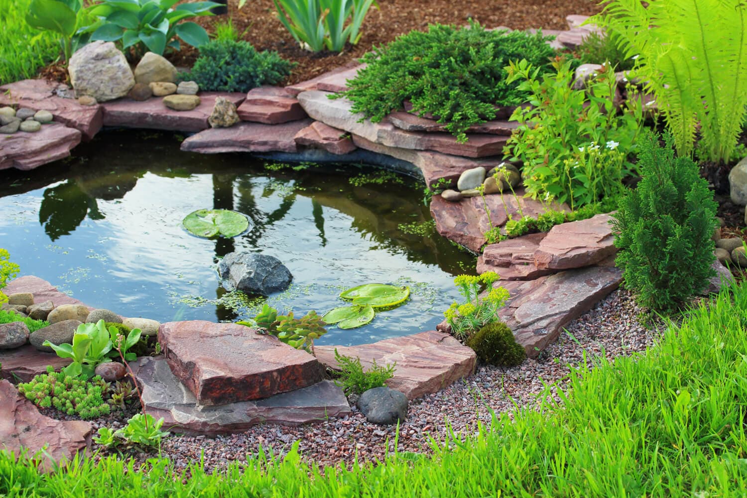 Decore su jardín con Repasegur Galicia