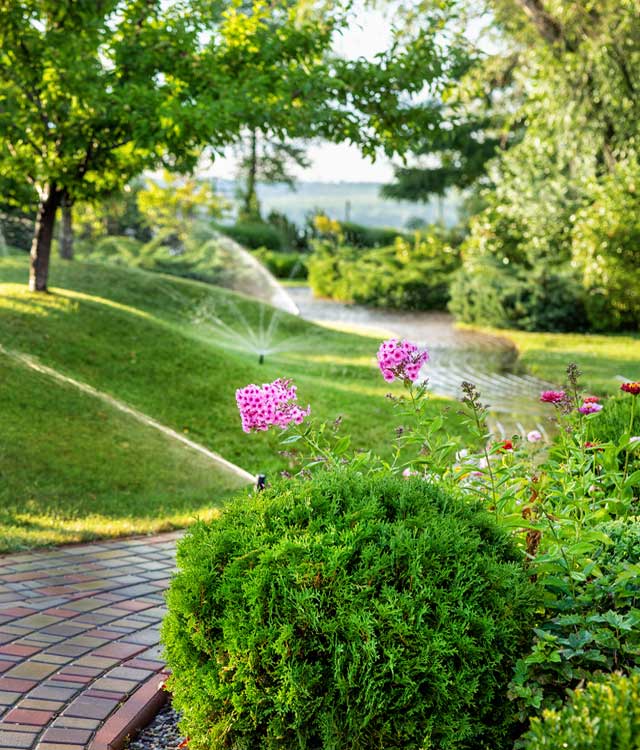 El jardín que siempre ha querido